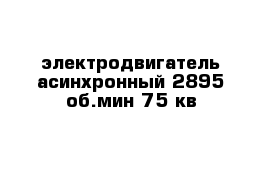  электродвигатель асинхронный 2895 об.мин 75 кв 